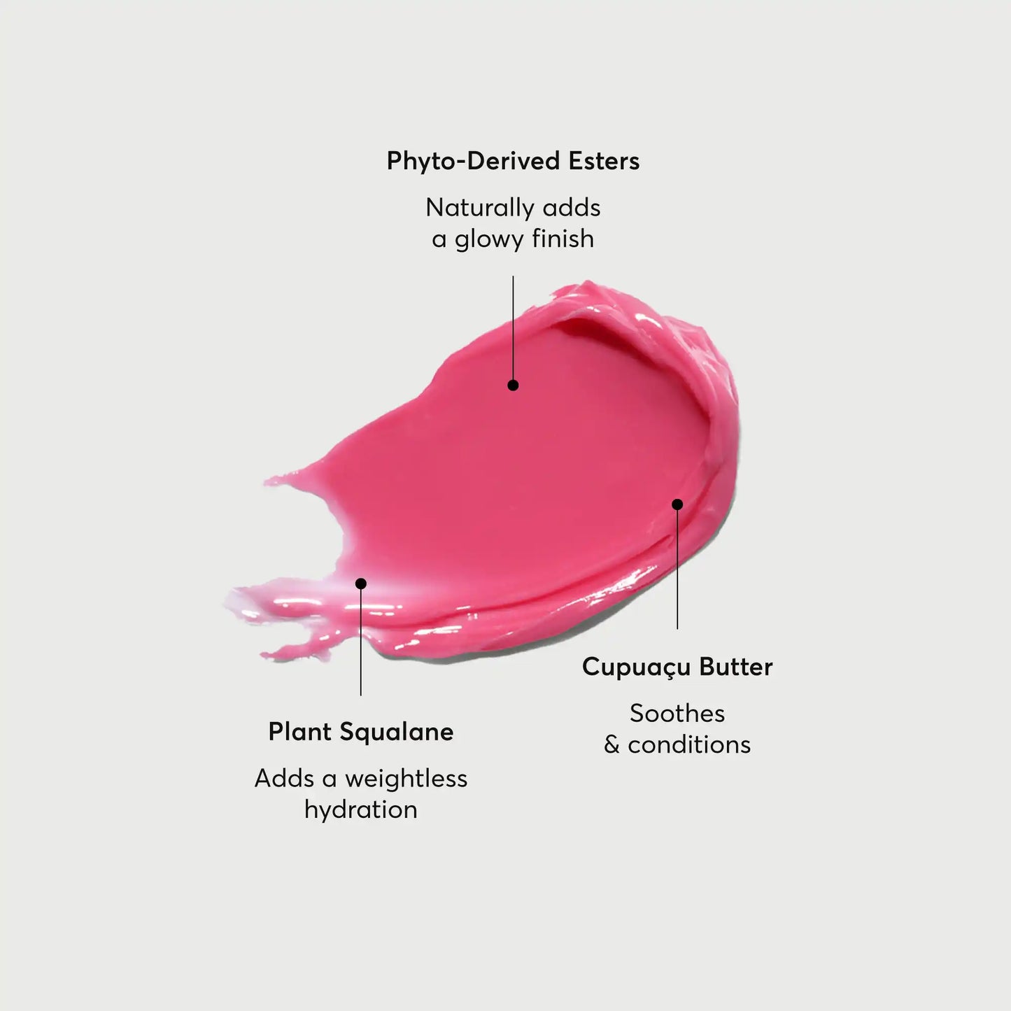 phyto-glow-lip-balm-camellia-u2 NATR-60075-Alt-Images-Phyto-Glow-Lip-Balm-Camellia-01.webp